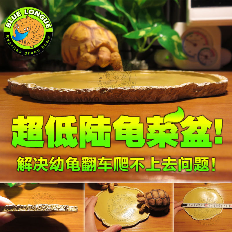 爬虫饲养箱造景陆龟水盆蜥蜴蜘蛛守宫水池赫曼泡澡饮水豹龟苏卡在类目 宠物/宠物食品及用品, 爬虫/鸣虫及其用品, 爬虫/鸣虫用具中 - 来自Buy2taobao.com提供专业的淘宝代购服务