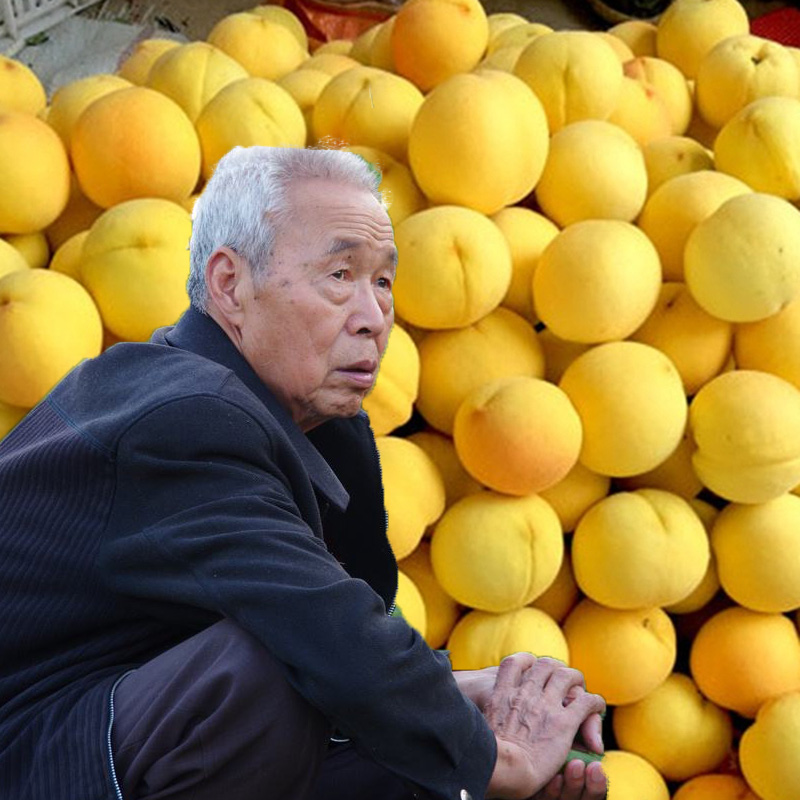 黃弘毅