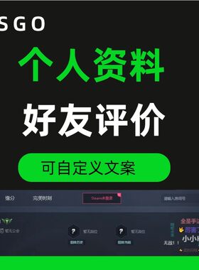 csgo 完美对战平台个人资料好友评价 可定制