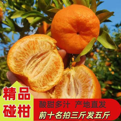 湖北宜昌碰柑清江特产新鲜酸甜孕妇当季应季水果产地直发柑橘桔子