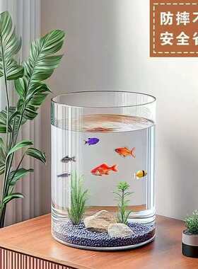 简约家用鱼缸花瓶透明生态缸办公室桌面金鱼缸塑料迷你水族缸
