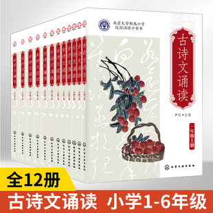 北大附小古诗文诵读全12册尹超主编北京大学附属小学校园读本古诗文诵读一二三四五六年级上下册北大附小校园读本古诗文古诗词诵读