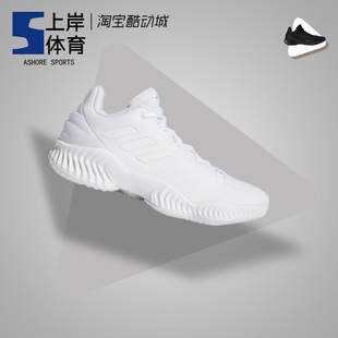 Adidas/阿迪达斯Pro Bounce 2025 Low男子低帮篮球鞋 FW0903