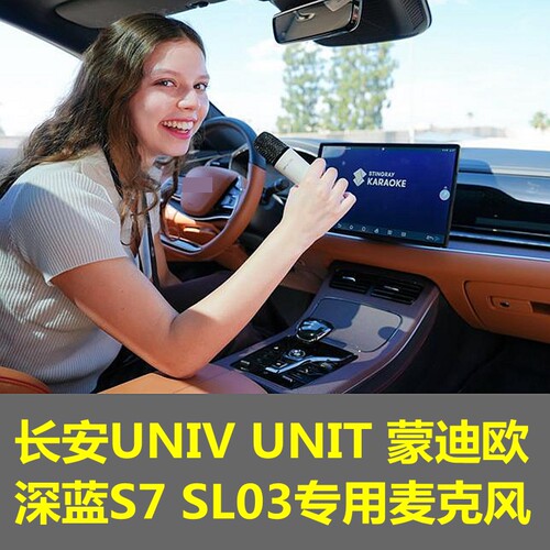 深蓝汽车唱歌麦克风无线话筒