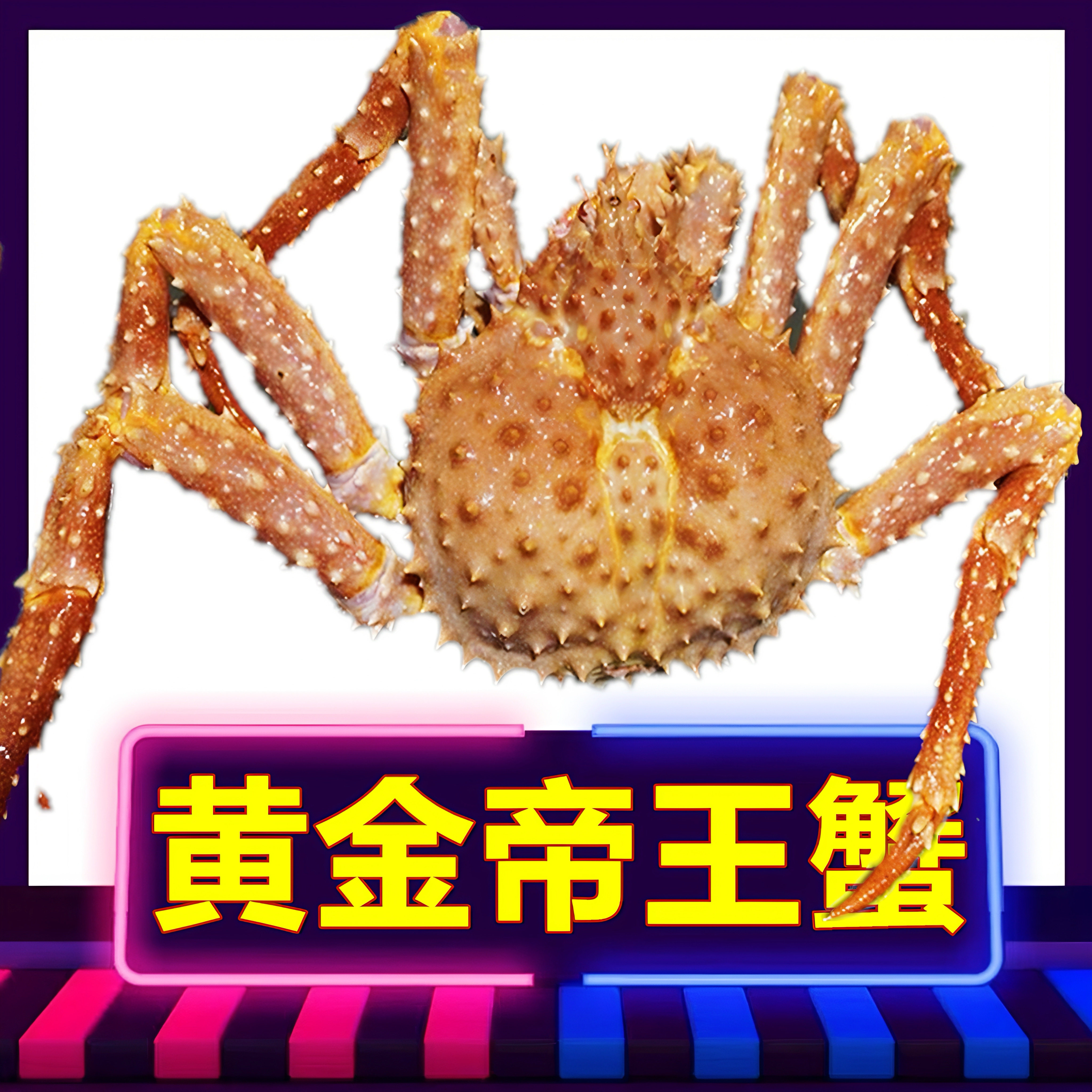 帝王蟹鲜活皇帝蟹速冻板蟹特大螃蟹面包蟹俄罗斯帝王蟹松叶蟹送礼