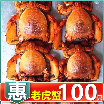 【100只特惠】新鲜老虎蟹活冻泰国进口虎头蟹贵妃蟹旭蟹火锅食材