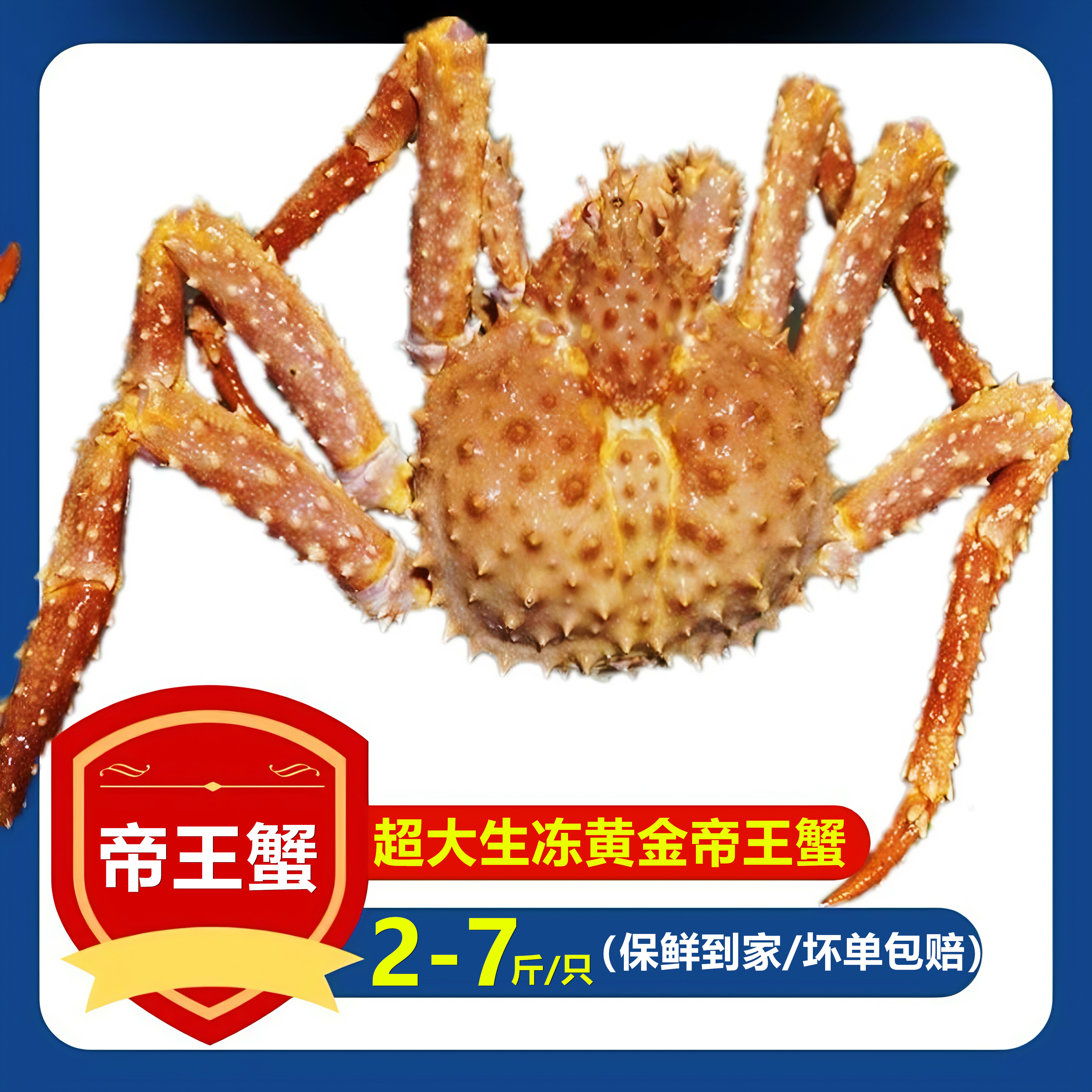 帝王蟹鲜活生冻黄金蟹生冻板蟹熟冻面包蟹特大螃蟹活帝王蟹长脚蟹