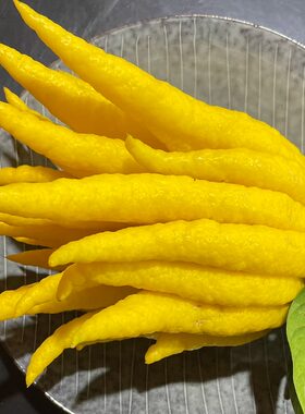 现摘现发金佛手鲜果观赏食用闻香