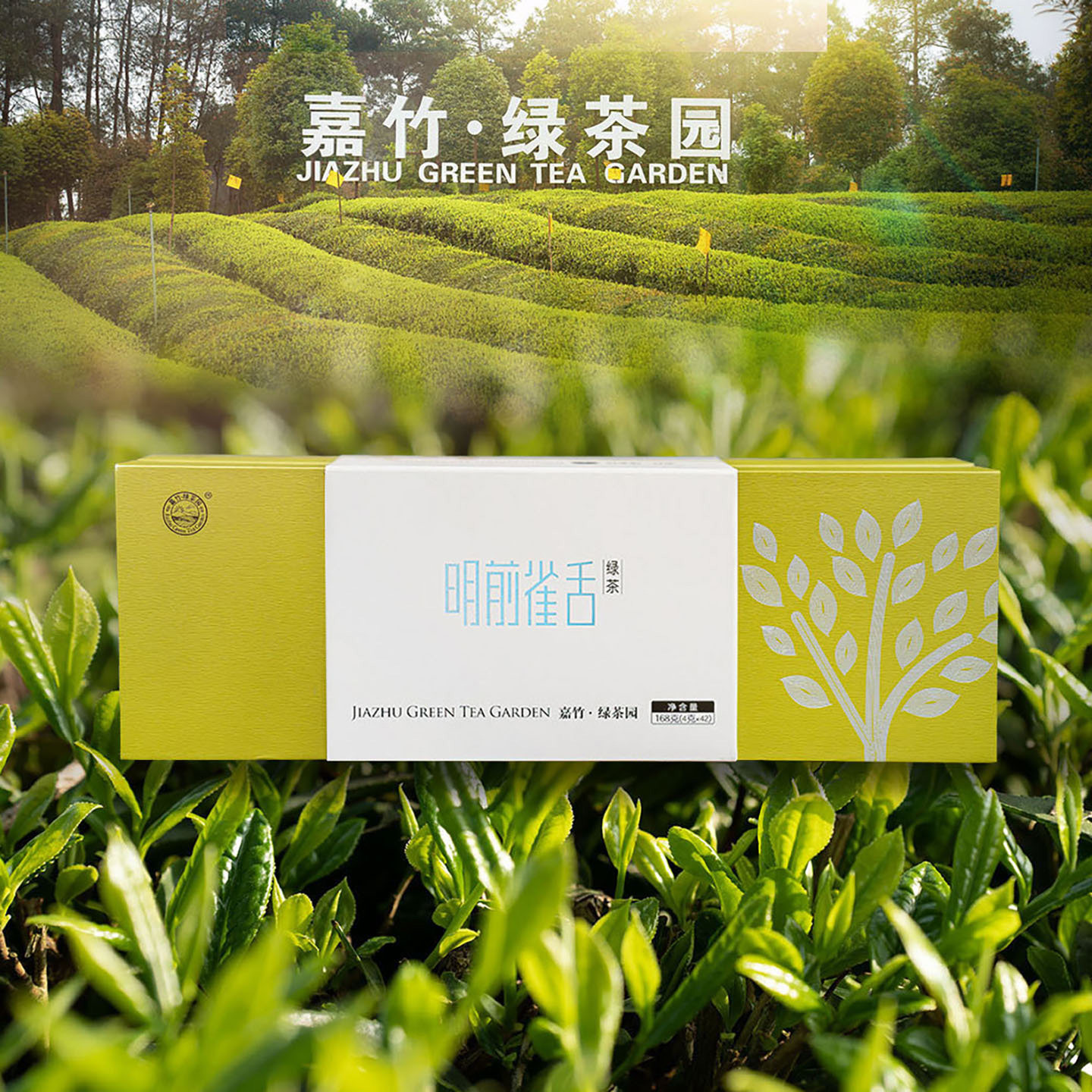 2026新茶嘉竹绿茶园明前雀舌168g新品礼盒装蒲江雀舌春茶头采独芽