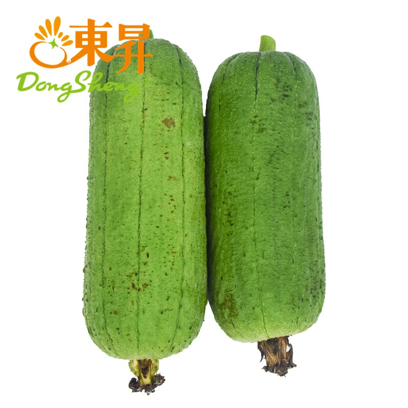 东升有机水瓜  丝瓜 有机种植 0化肥0农药0激素 300g 广州发货
