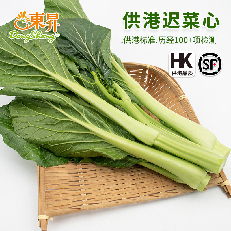 东升农场 供港迟菜心嫩甜菜心  广州供港蔬菜新鲜配送300g