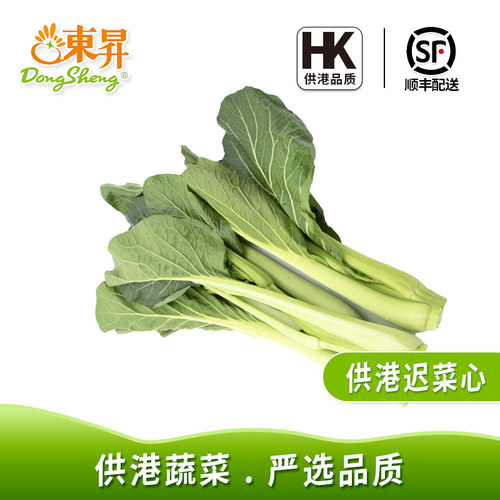 东升迟菜心火锅广州新鲜