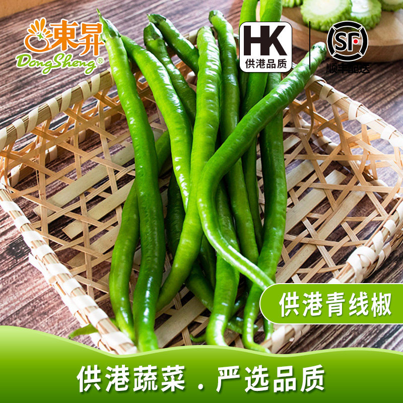 东升农场 供港青线椒   烧烤 广州蔬菜新鲜配送 300g
