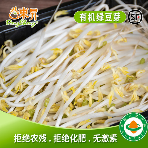 东升农场 有机绿豆芽 新鲜蔬菜 广州发货 250g
