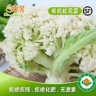 东升农场 有机松花菜400g 散花菜 有机蔬菜烧烤炒菜广东蔬菜