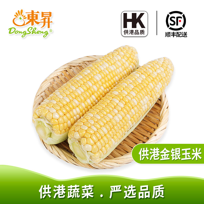 东升农场新鲜金银玉米宝宝辅食图片
