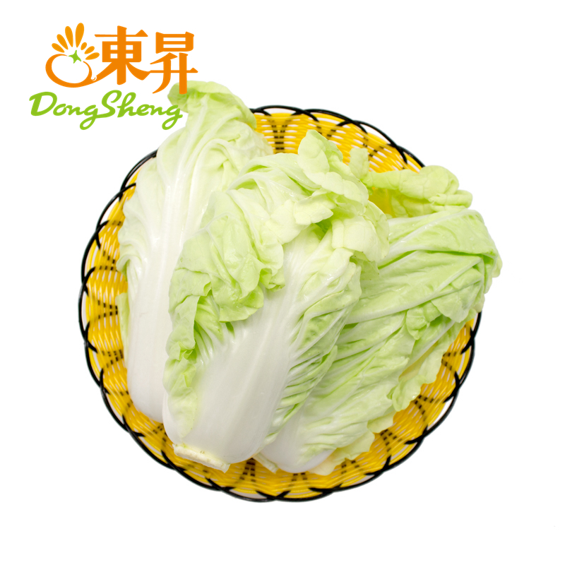 东升大白菜广州新鲜300g