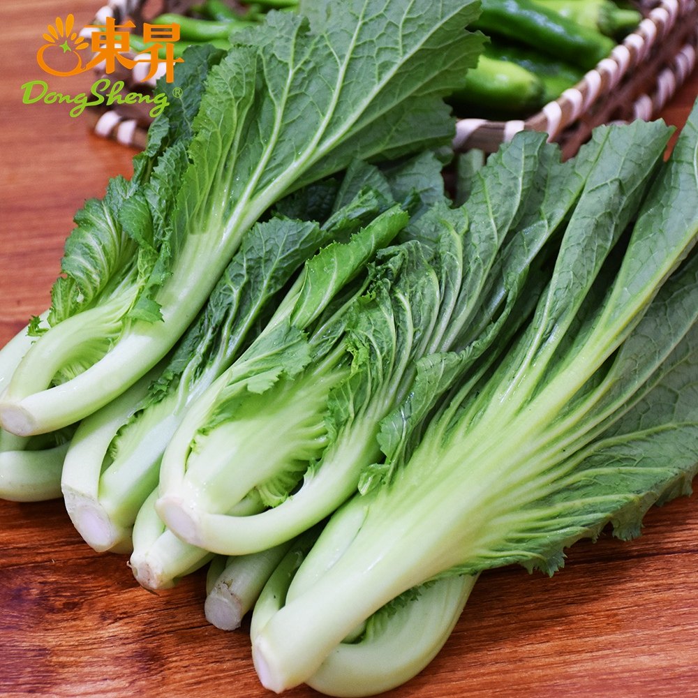 东升农场 东升芥菜苗 鲜嫩可口 广州蔬菜 250g,水产肉类/新鲜蔬果/熟食,叶菜类,淘宝优惠券,粉丝福利购,淘宝优惠卷