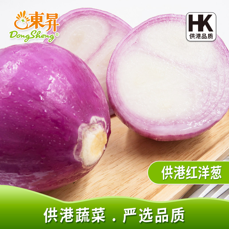 东升农场 紫皮洋葱新鲜葱头红皮圆葱生吃 烧烤 广州配送500g