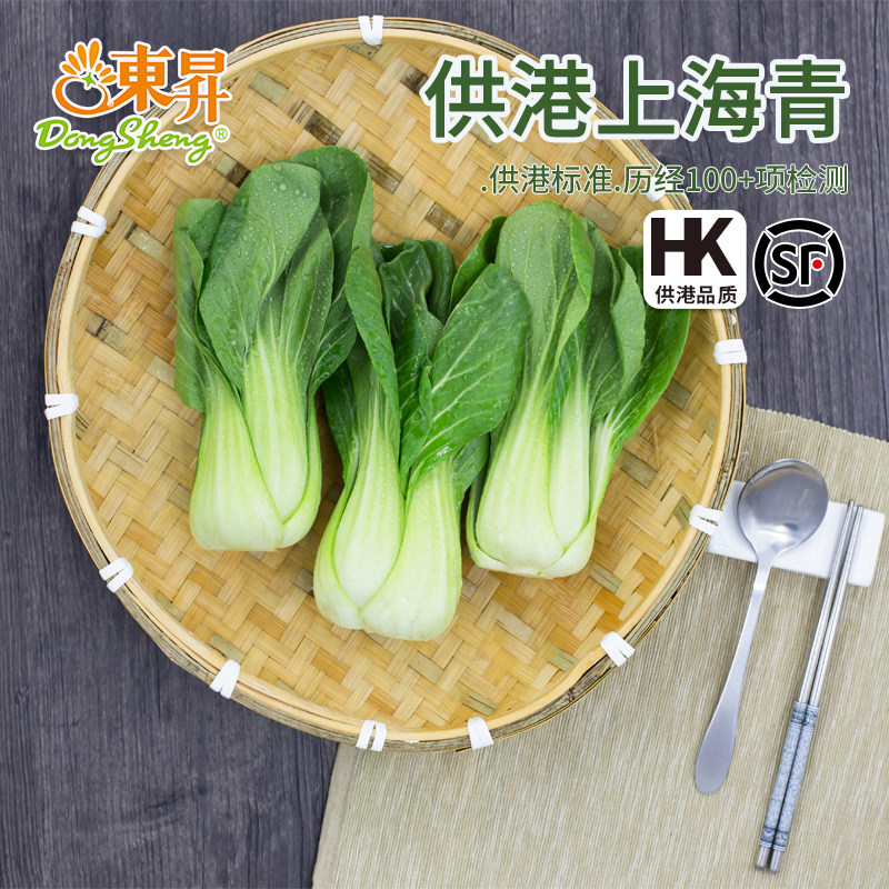 东升农场 供港上海青 鸡毛菜油菜 广州供港蔬菜新鲜配送 300g,水产肉类/新鲜蔬果/熟食,其它,淘宝优惠券,粉丝福利购,淘宝优惠卷