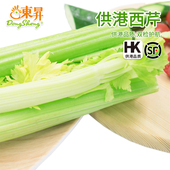 供港西芹 新鲜西芹菜轻食 养生 东升农场 广州蔬菜新鲜配送 700g