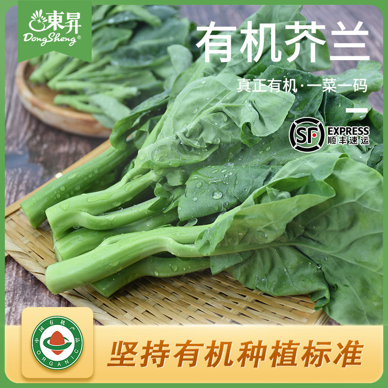 东升农场 有机芥兰新鲜白花芥蓝菜心 养生食材 广州新鲜现摘300g