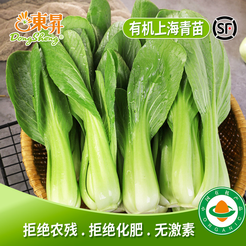 东升农场 有机上海青苗 有机鸡毛菜苗 广州有机新鲜蔬菜配送 250g - 实物图