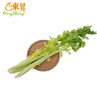桂河芹菜 芹菜脆嫩 养生健康 辅料素炒凉拌食材300g