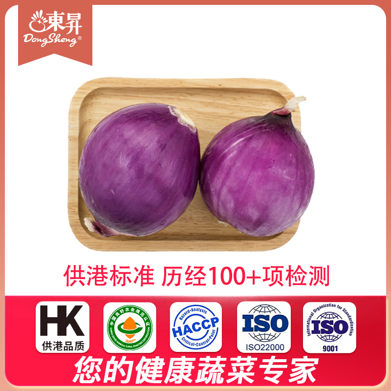 东升农场紫皮洋葱质地鲜嫩