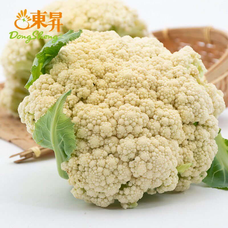 东升农场 东升有机白花菜 椰菜花 烧烤 广州健康蔬菜新鲜配送400g