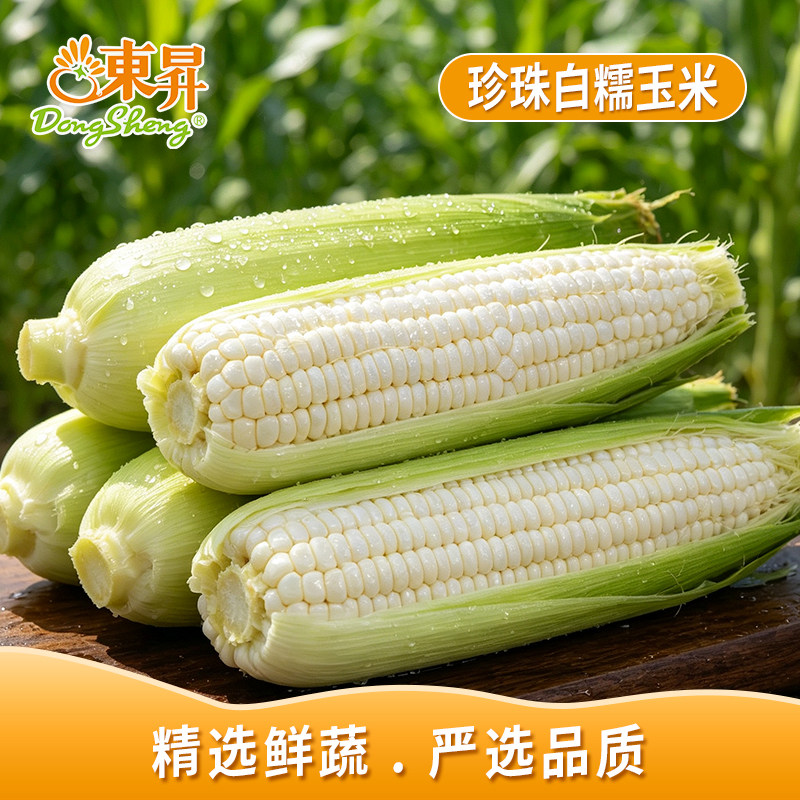 东升农场 珍珠白糯玉米  广州发货新鲜蔬菜 3斤/5斤图片