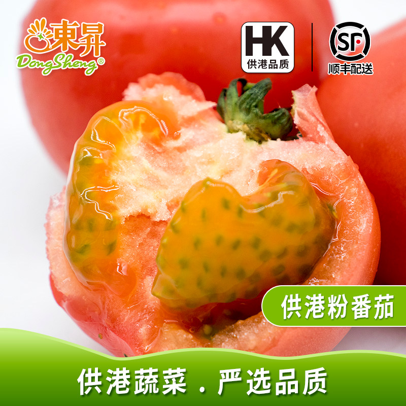 东升农场 供港粉红番茄新鲜自然熟沙瓤水果蔬菜500g火锅食材