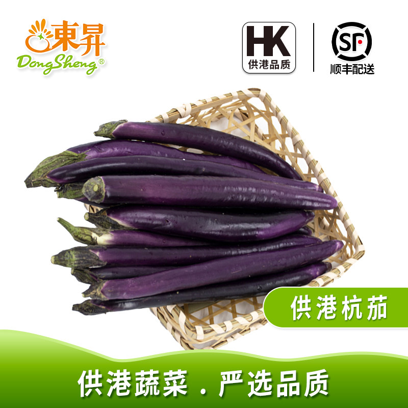 东升农场 杭茄新鲜长茄子蒜茄子 烧烤 广州新鲜配送400g