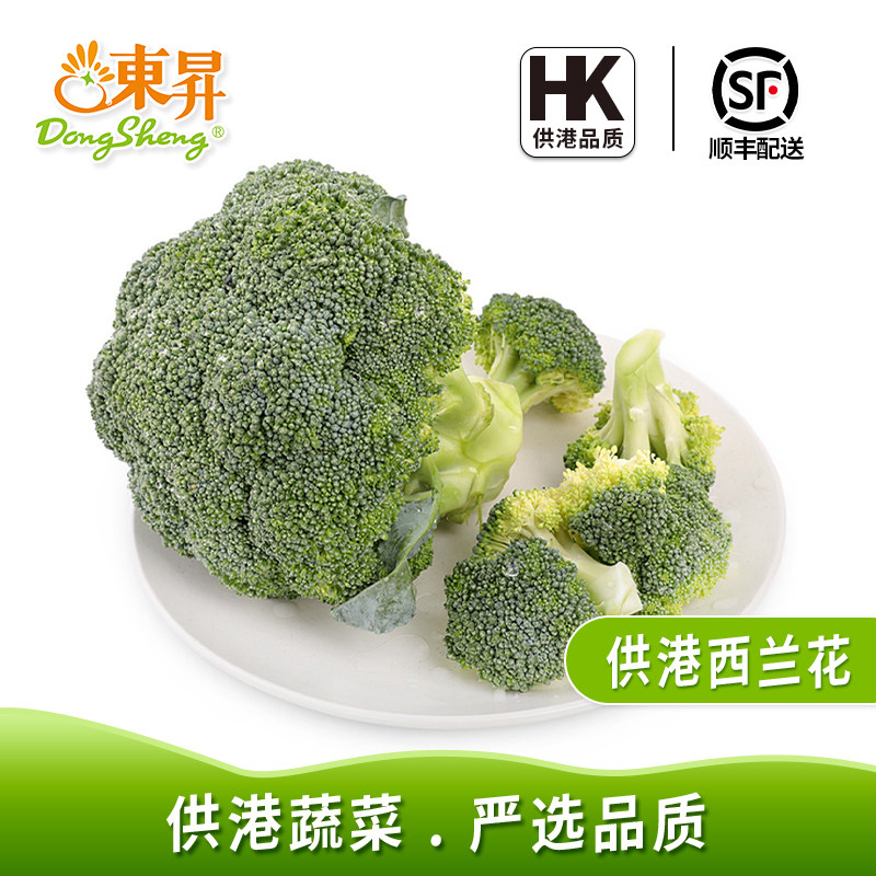 东升农场 供港西兰花 烧烤 沙拉蔬菜广州新鲜蔬菜配送300g