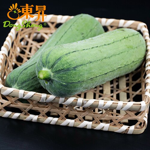 东升肉丝瓜水瓜新鲜配送