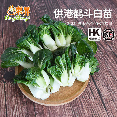 东升农场 供港宁夏斗白苗 鹤斗白苗 矮脚奶白菜苗 火锅食材250g - 封面