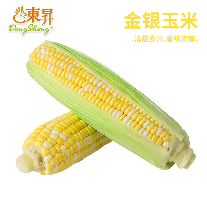 东升农场新鲜金银玉米宝宝辅食