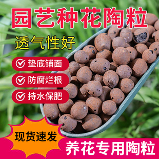 陶粒球花盆垫底园艺通用型空心陶粒土颗粒多肉发财树水培垫底陶粒