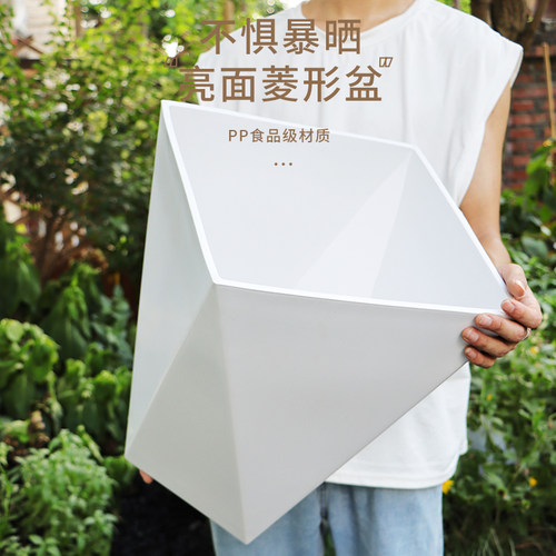 塑料简约散尾葵大花盆