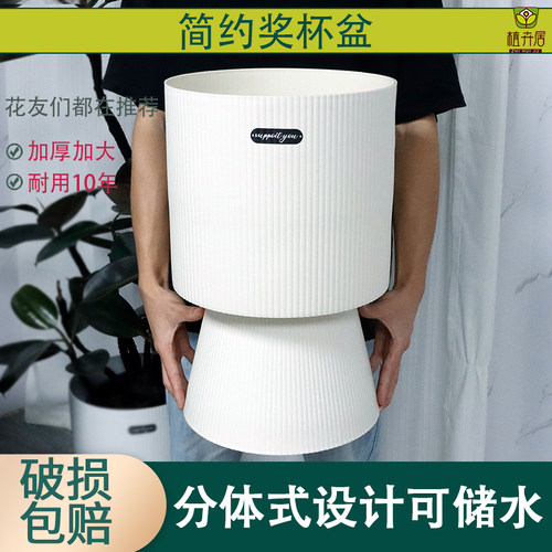 新款高颜值自吸水花盆家用大号花盆栽客厅高级感塑料天堂鸟发财树