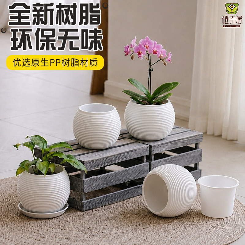 圆球自吸水培花盆土培套盆图片