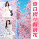 2025年新款 樱花摄影背景布直播间背景墙儿童少女春天拍照写真背景