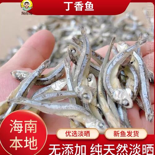 当季新鱼海燕丁香鱼干无刺淡盐