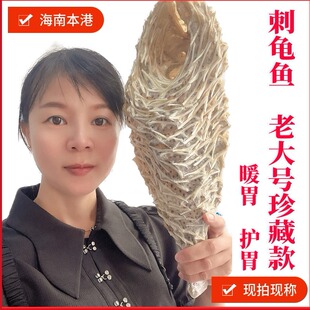 超大号海刺猬刺龟有刺豚刺龟鱼海胆皮煲汤对胃好海产干货500g装