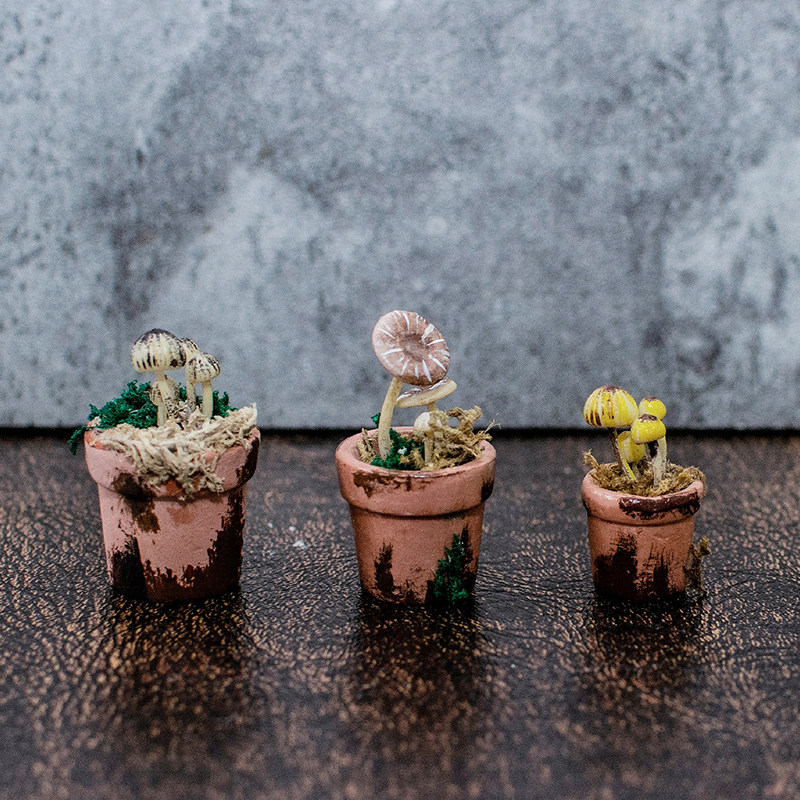 diy创意手工迷你蘑菇盆栽材料包