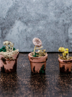 创意玩具礼物DIY手工ob11/12/6/4分娃用bjd迷你蘑菇盆栽材料包