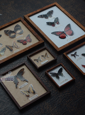 手工材料包OB11/12/6/4分娃屋配件BJD迷你蝴蝶标本玩具生日礼物