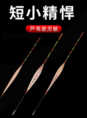 浅水短芦苇浮漂冬钓小鱼漂