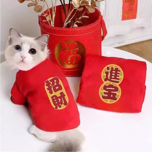 新年装猫狗衣服秋冬加绒两脚卫衣