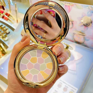 雅莉格丝奥尔滨蜜粉饼E大饼控油定妆遮毛孔便携装家庭装8.8g 27g